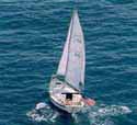 Alhoa8125