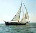 Bayfield29125
