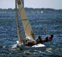 CapeCodFrosty125