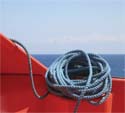 Dock125