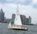 Shark125