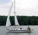 Tanzer22125
