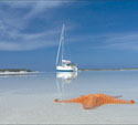 car-bahamas-small