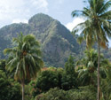 destinations-caribbean-vinci-small
