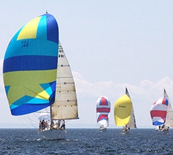 2013 Race the Cape