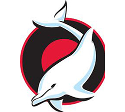 Dolphinite