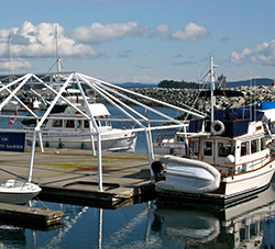 Grand Banks 36