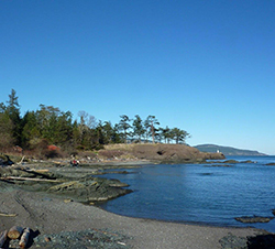 Brooks Point