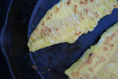 Pan Fried Fish