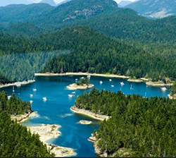 Save Squirrel Cove