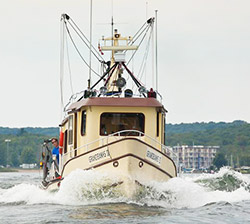 Tugfest 2013
