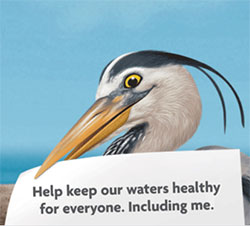 Great Shoreline Cleanup