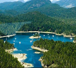 Squirrel Cove