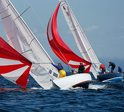 Chester Race Week 2013
