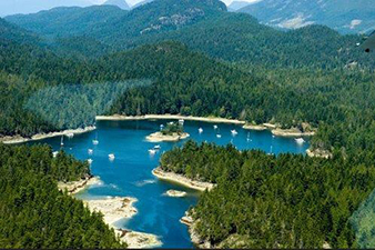 Squirrel Cove Development