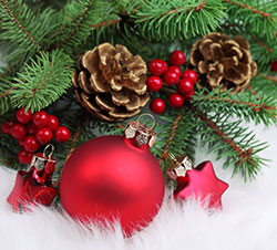 Happy Holidays 2013