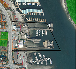 Harbour Homes