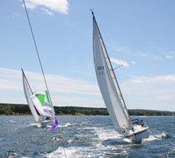 Race The Cape