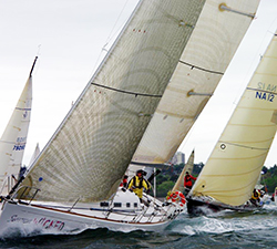 Swiftsure