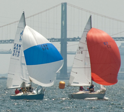 Bedford Basin