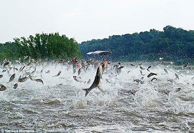 Asian Carp Seminar