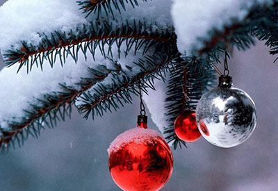 Happy Holidays