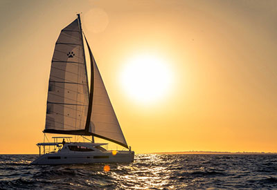 Leopard 48