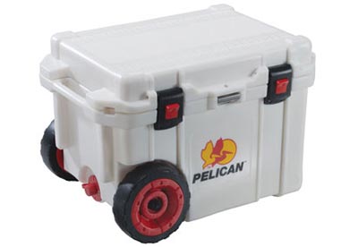 Cooler 45QW