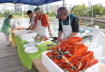 VRC Lobster