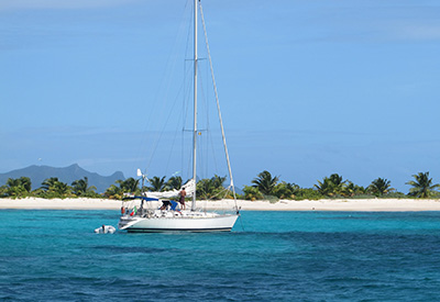 the Grenadines