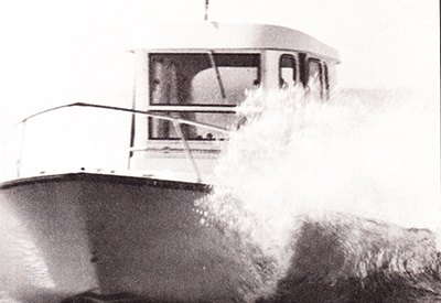 Shamrock 20