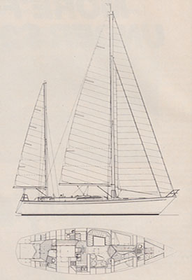 Whitby 55 Sketch