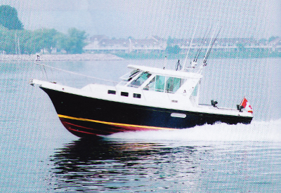 Albin 31 Tournament Express