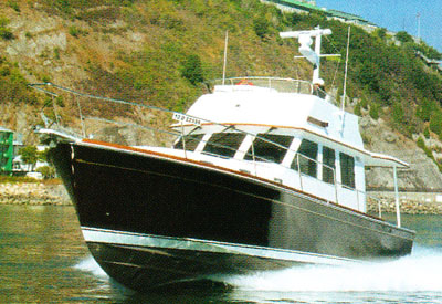 Sabreline 42