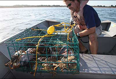 Crabbing