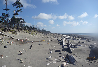 Plastic Pickup in Paradise - Haida Gwaii