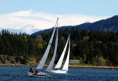 Deep Cove