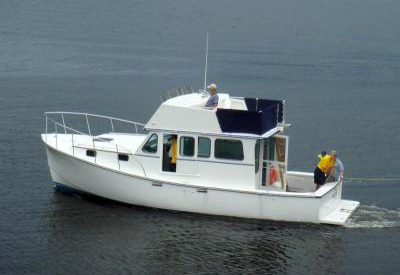 Samson 32