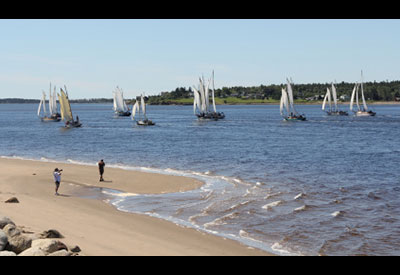 Schooner Races