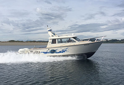 Delta Custom 26 ft Express Cruiser
