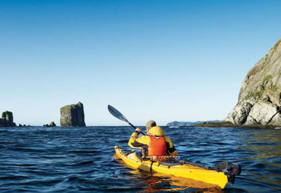 Paddlesmart