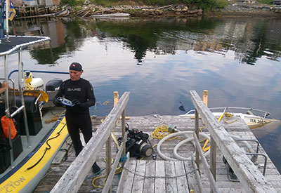 Sunk At The Dock
