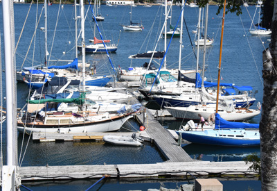 Armdale Yachtclub 1