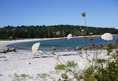 Carters Beach