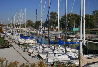 In The Harbour