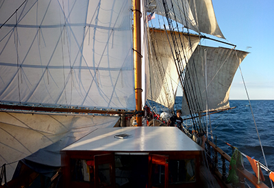 Pathfinder Running Crop