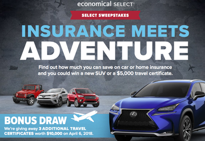 Insure