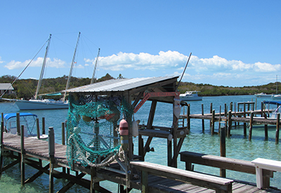 Docks In The Harbour