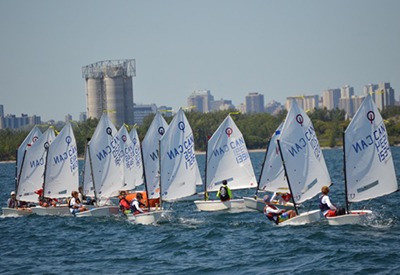 Royal NS Opti