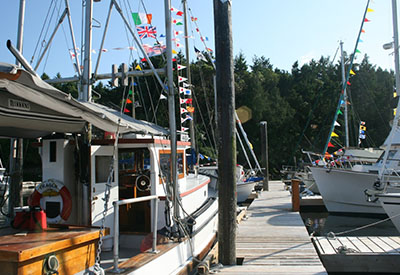 Pages Marina Docks
